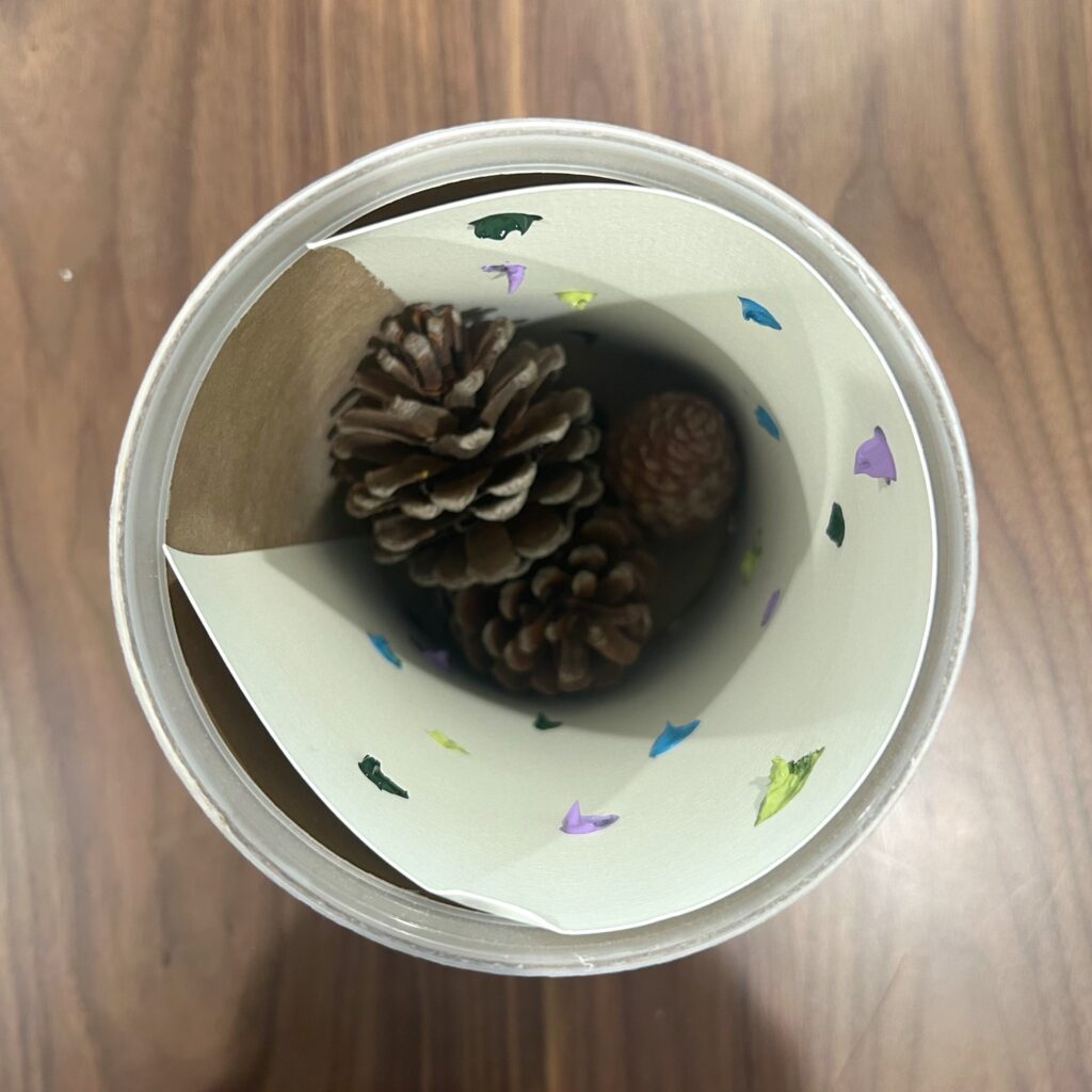 A pinecone in a tube, paint-dotted paper lining the inside of the tube.