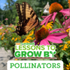 Lessons to Grow By: Pollinators