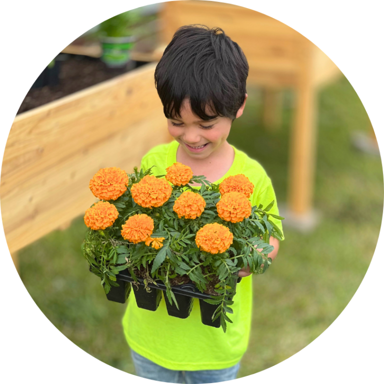 A child looking down at a set of orange flowers