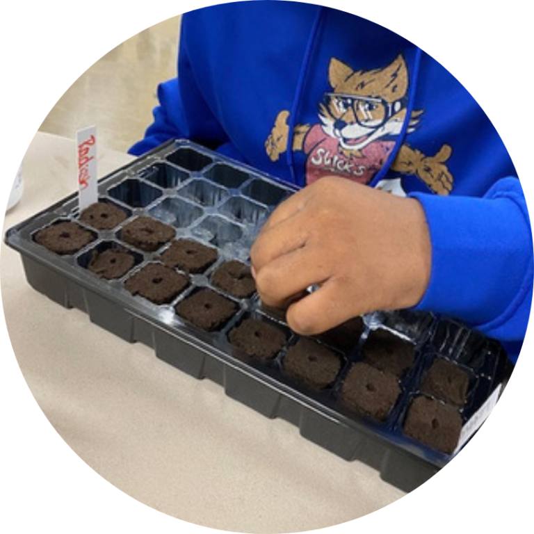 A child in a tiger sweatshirt plants seeds in a black plastic tray. Only their arm and torso is visible.