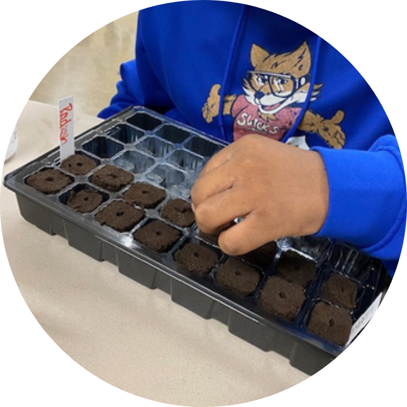 A child in a tiger sweatshirt plants seeds in a black plastic tray. Only their arm and torso is visible.