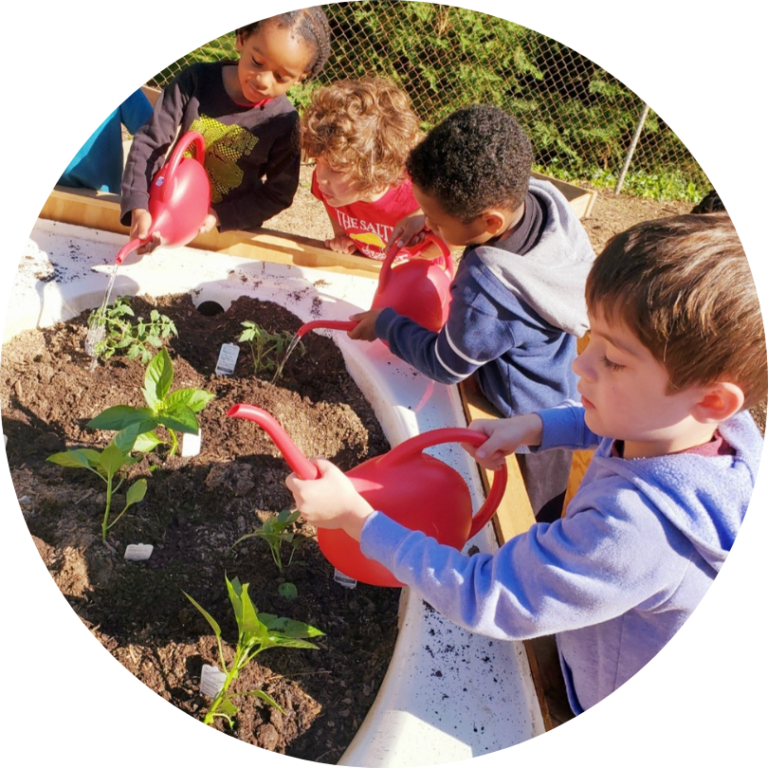Kids gathered around a raised bed, watering with red watering cans.