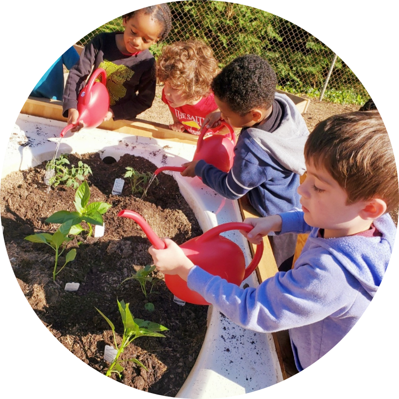 Kids gathered around a raised bed, watering with red watering cans.