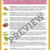 2-1-1.jpg Melon Activity Pack