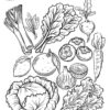 Winter Garden Activity Pack
