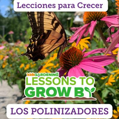 Lecciones para Crecer: Los polinizadores