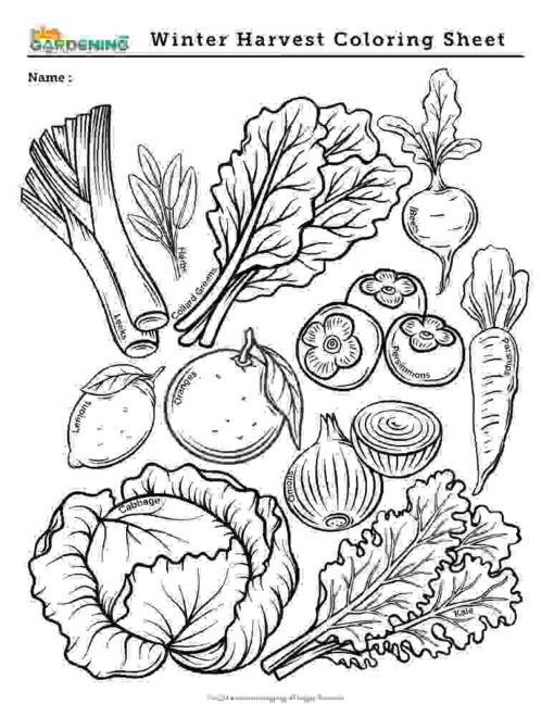 Winter Garden Activity Pack
