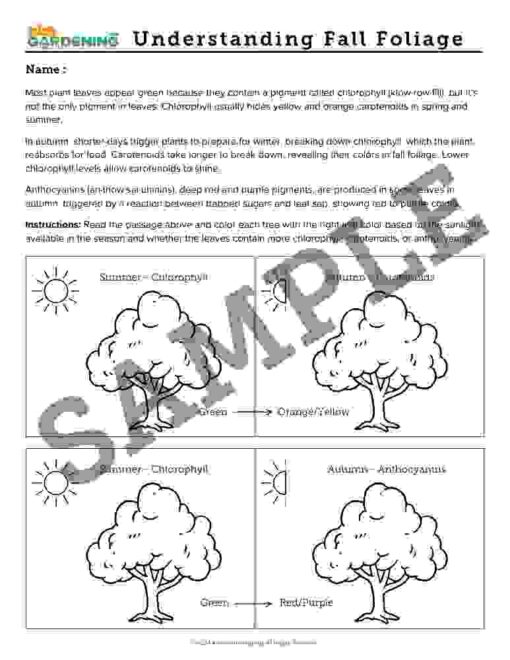 2-2.jpg Autumn Activity Pack