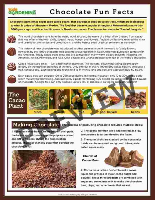 Chocolate Activity Pack
