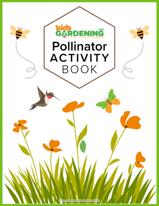 Pollinator Activity Book