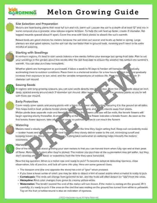 3-1-1.jpg Melon Activity Pack