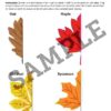 3-2.jpg Autumn Activity Pack