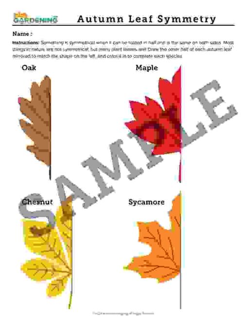3-2.jpg Autumn Activity Pack
