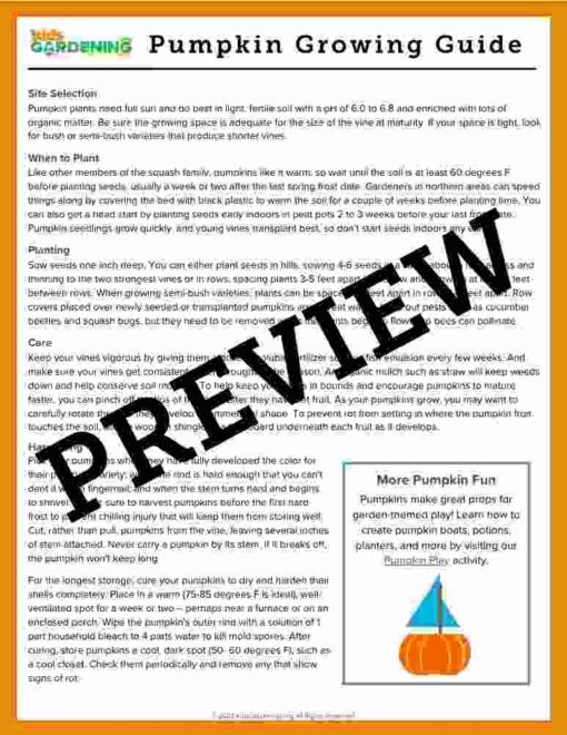 Pumpkin Activity Pack
