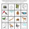 Winter Garden Activity Pack