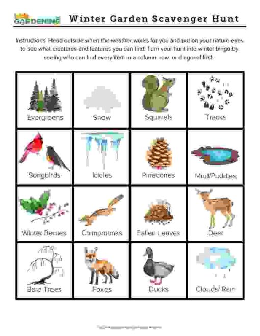 Winter Garden Activity Pack