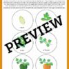 Pumpkin Activity Pack