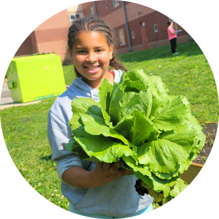 A child holding a big head of lettuce