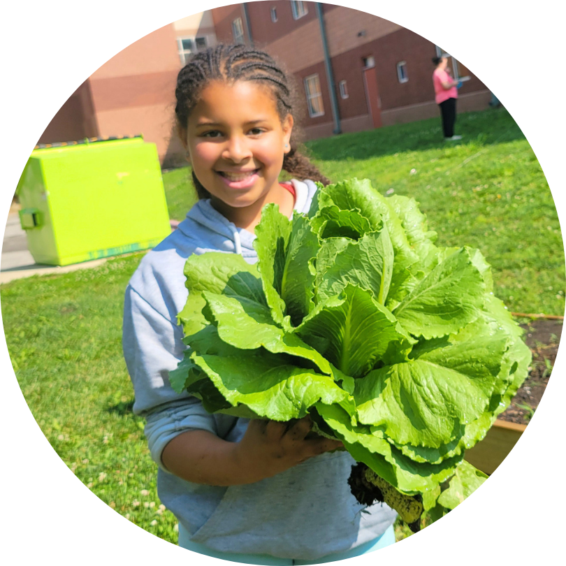 A child holding a big head of lettuce