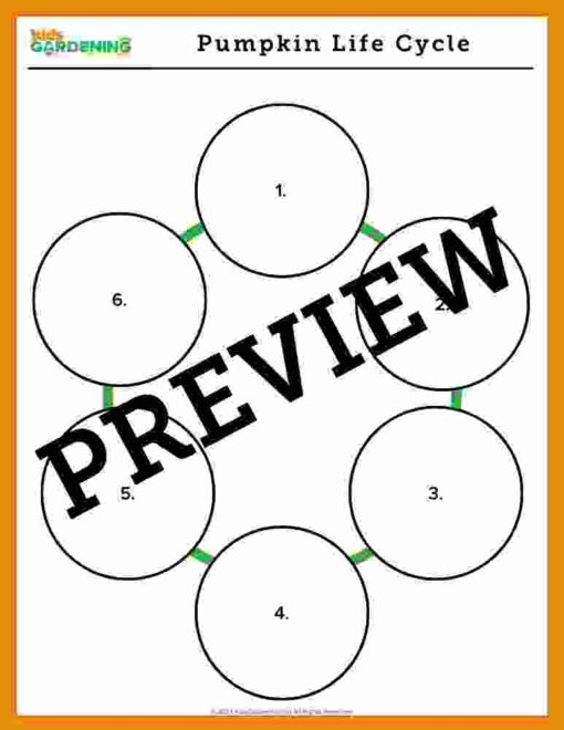 Pumpkin Activity Pack