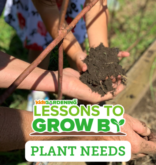 Lessons to Grow By: Plant Needs