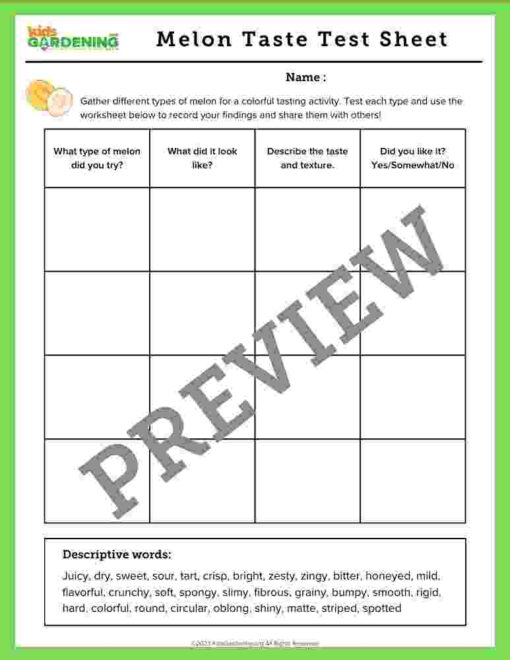 6-1-1.jpg Melon Activity Pack