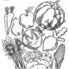 6-1.jpg Autumn Activity Pack