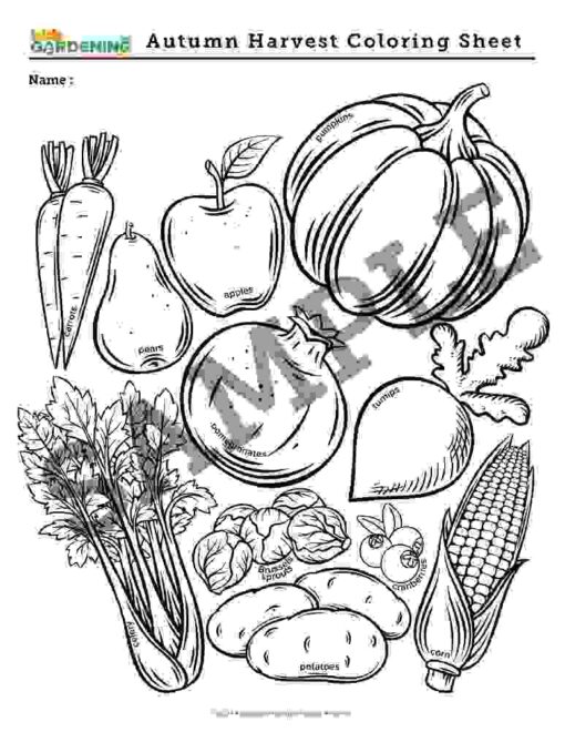 6-1.jpg Autumn Activity Pack