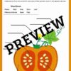 Pumpkin Activity Pack
