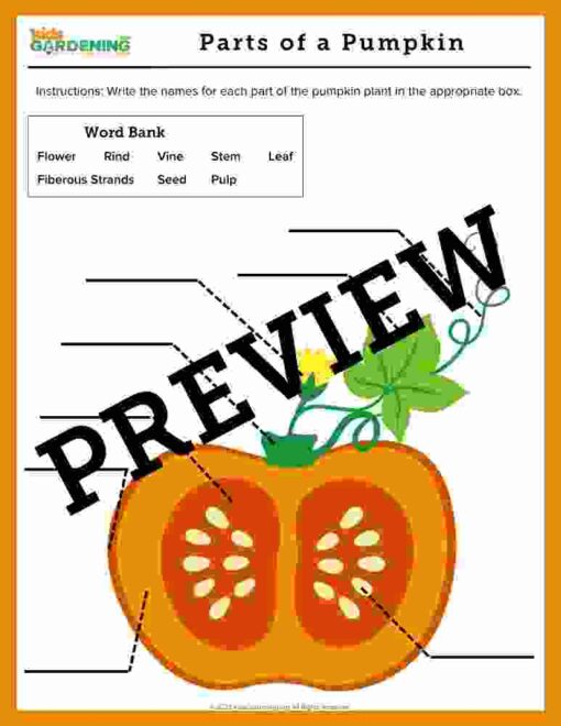 Pumpkin Activity Pack