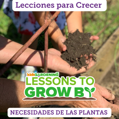 Lecciones para Crecer: Necesidades de las plantas