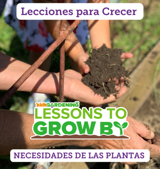6.png Lecciones para Crecer: Necesidades de las plantas
