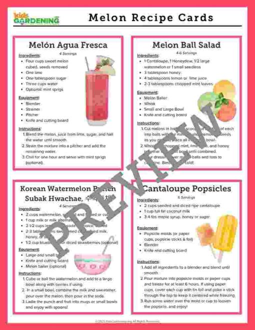 7-1-1.jpg Melon Activity Pack