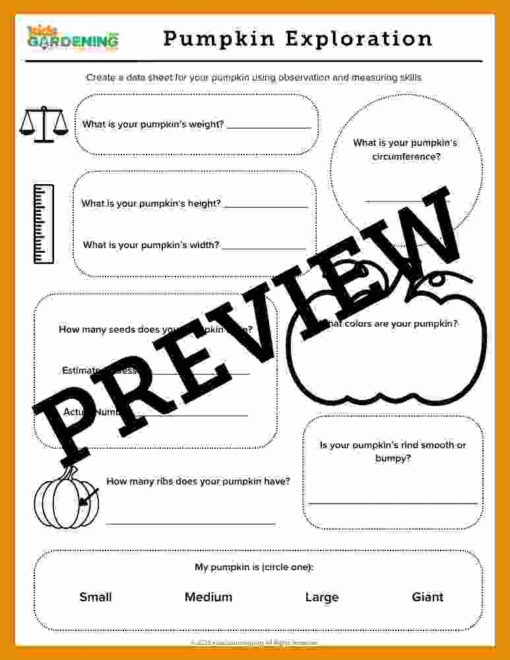 Pumpkin Activity Pack