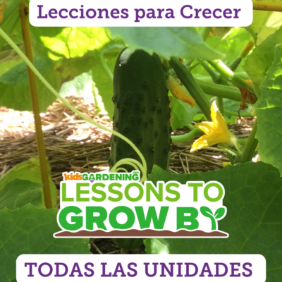 Lecciones para Crecer: Todas Las Unidades