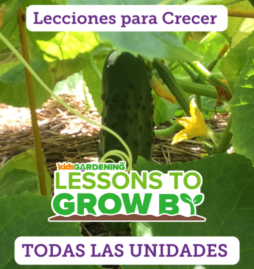 Lecciones para Crecer: Todas Las Unidades