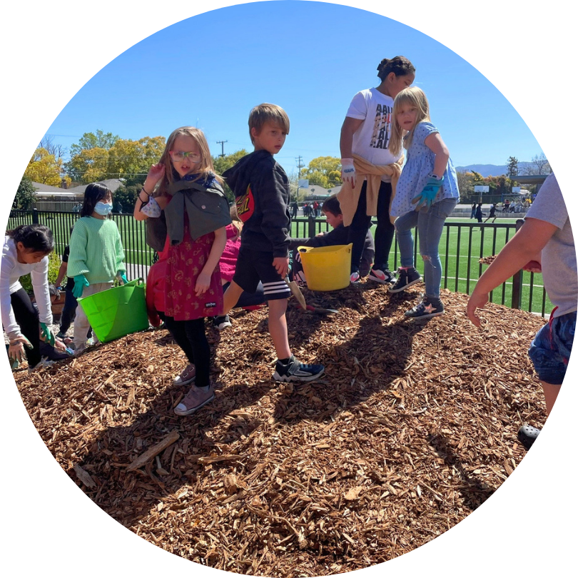 Kids standing on a big pile of mulch