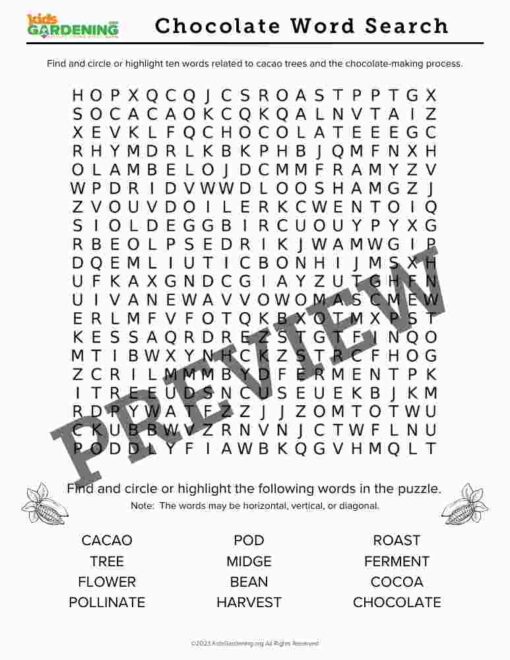 Chocolate Activity Pack