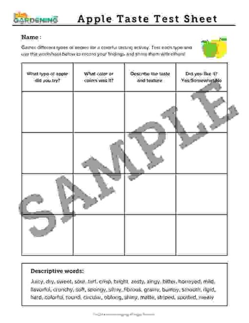 8.jpg Autumn Activity Pack