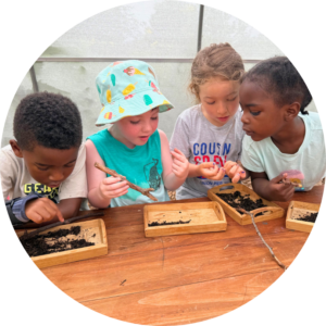 Everyone Grows: Data Collection