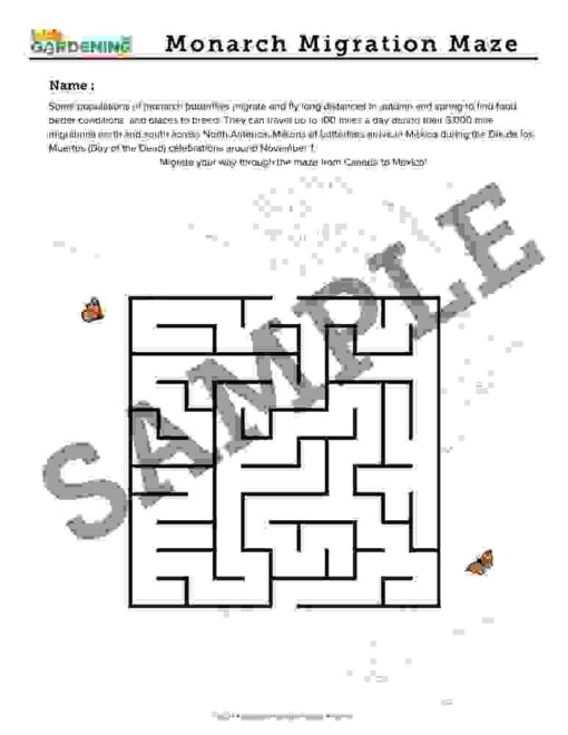9.jpg Autumn Activity Pack