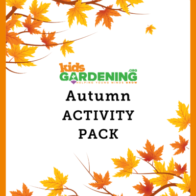 Autumn Activity Pack