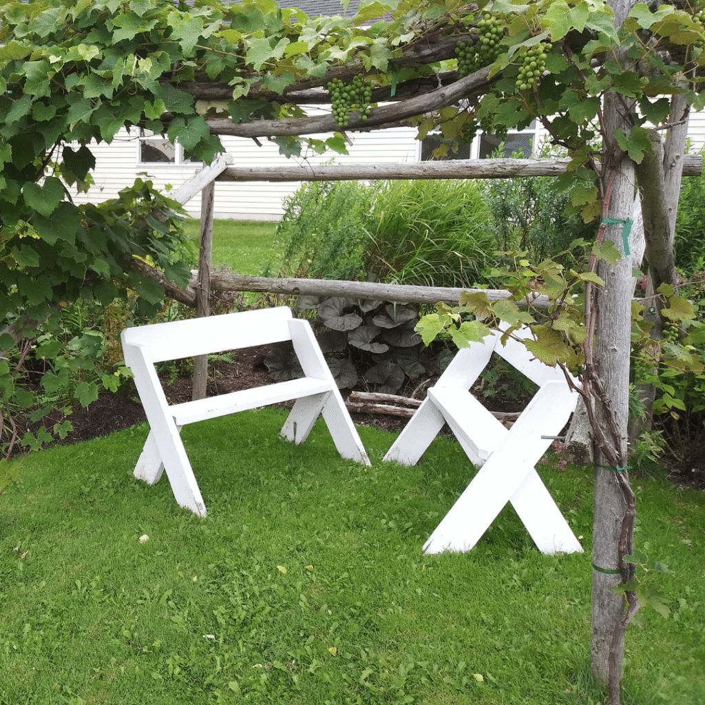 White benches under a tree arbor
