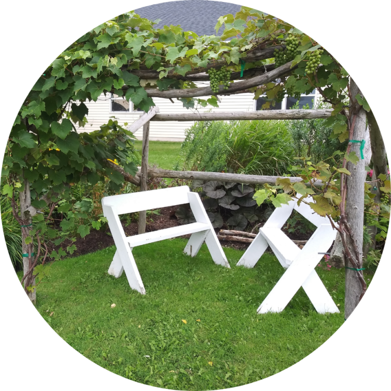 Two white benches in an outdoor setting