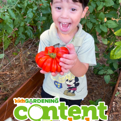 Content Club