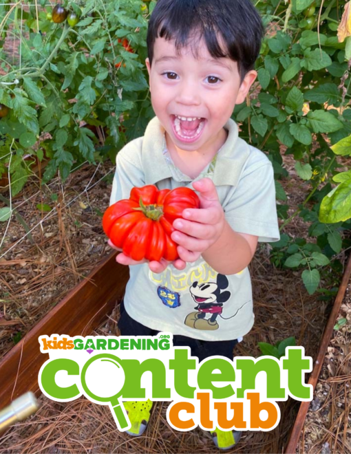 Content Club