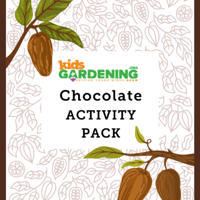 Chocolate-CC-Pack-cover.png Chocolate Activity Pack