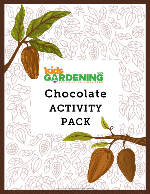 Chocolate Activity Pack