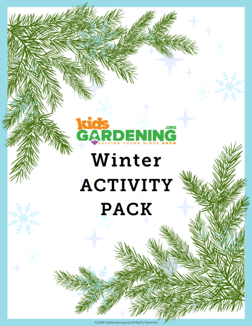 Winter Garden Activity Pack