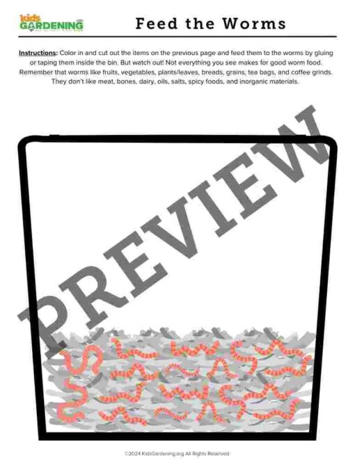 Decomposition Activity Pack